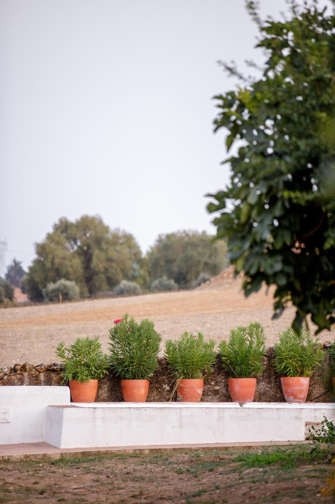 Monte Da Hortinha Villa Estremoz Eksteriør billede