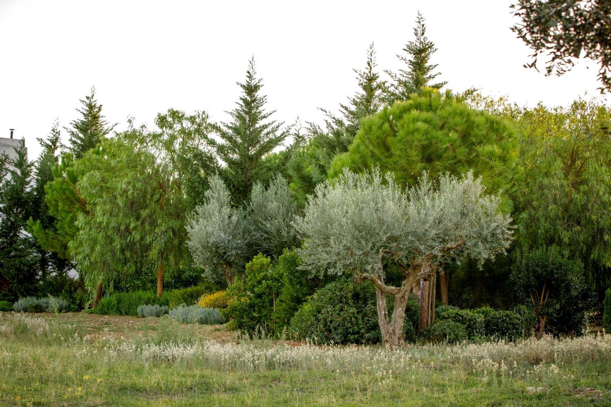 Monte Da Hortinha Villa Estremoz Eksteriør billede