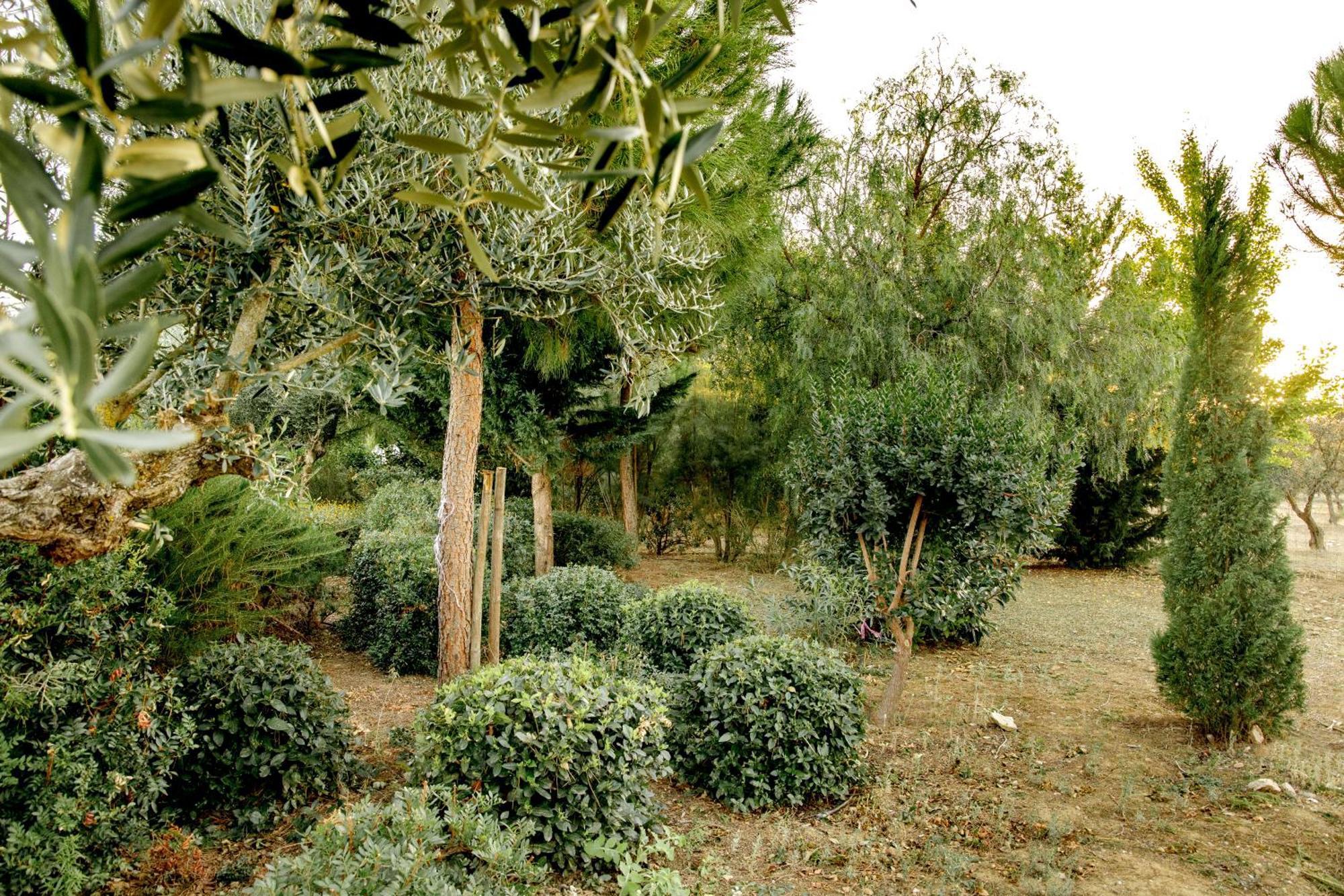 Monte Da Hortinha Villa Estremoz Eksteriør billede